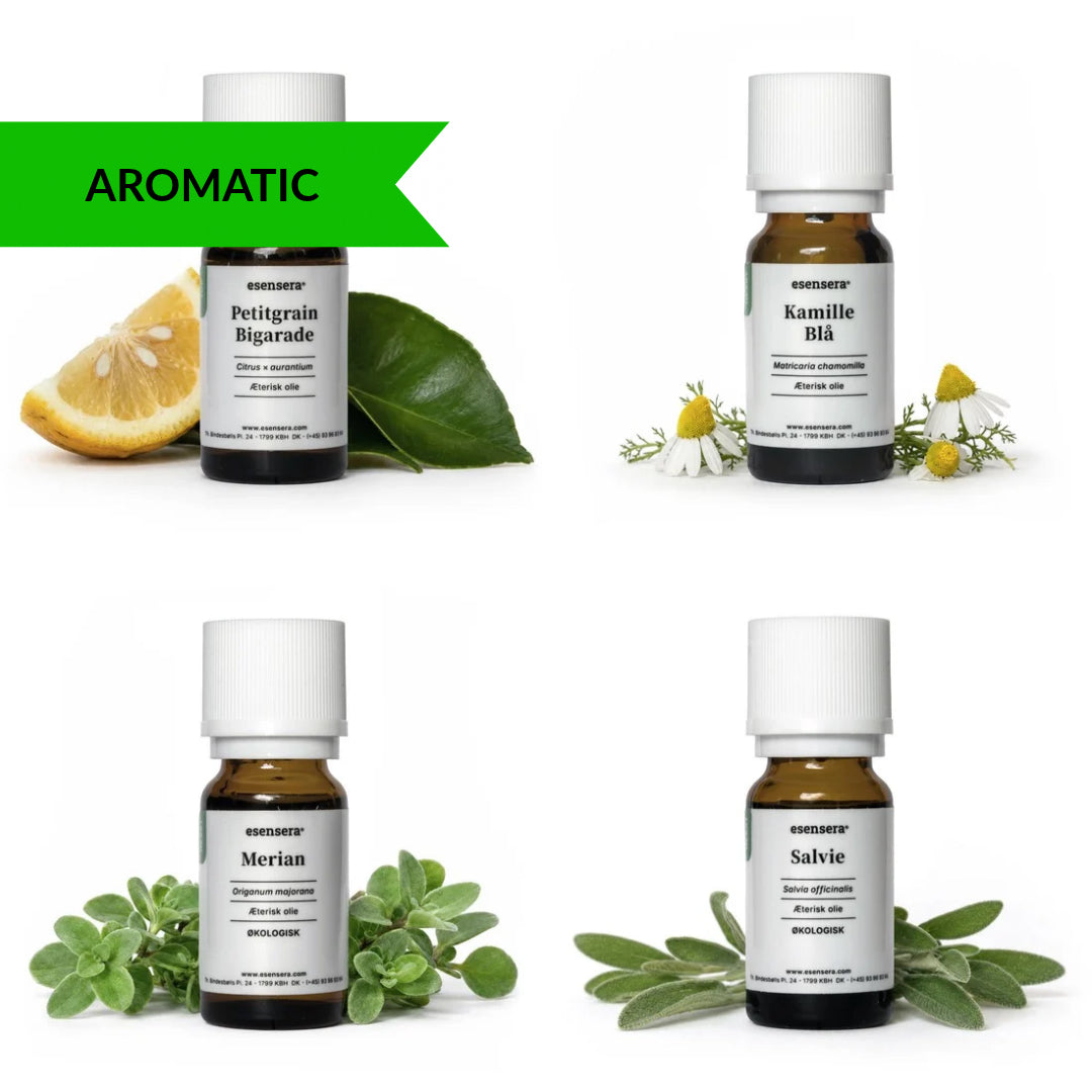 Duftprofil - Aromatic