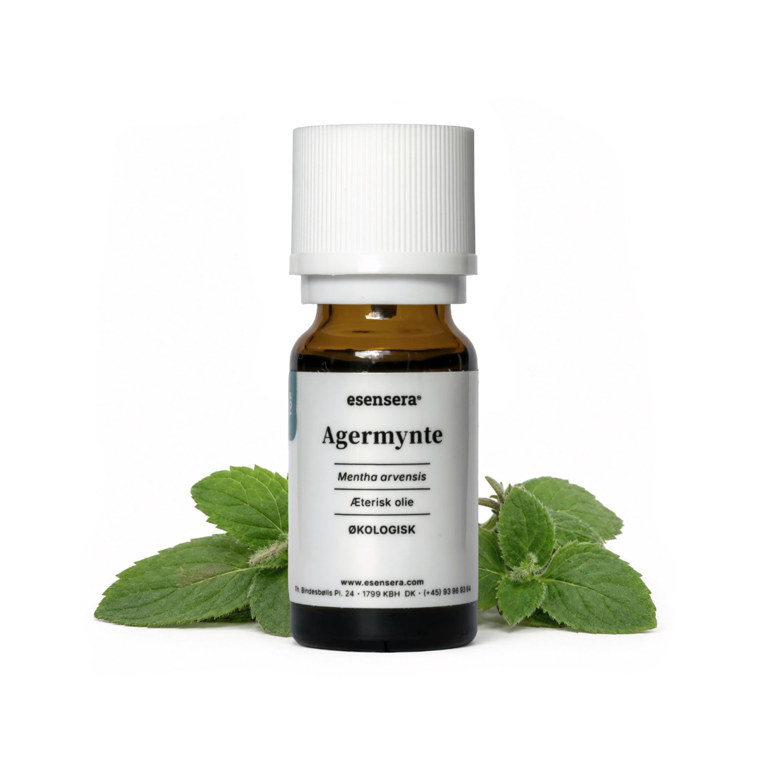Agermynte ØKO 100 ml.