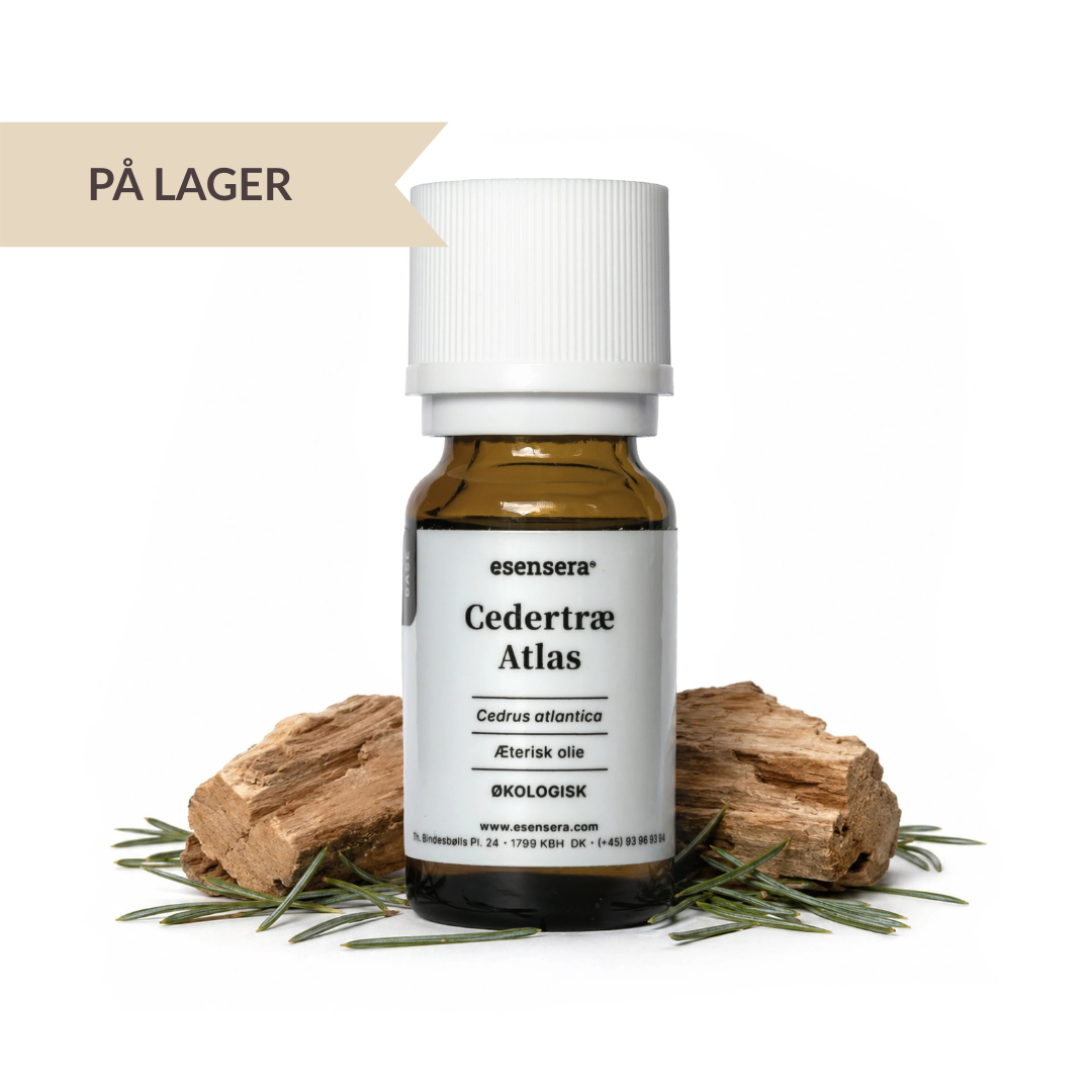 Cedertræ Atlas ØKO 100 ml.