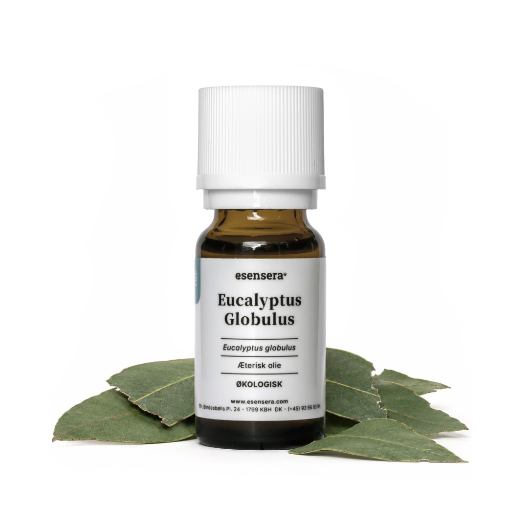 Eucalyptus Globulus ØKO 100 ml.