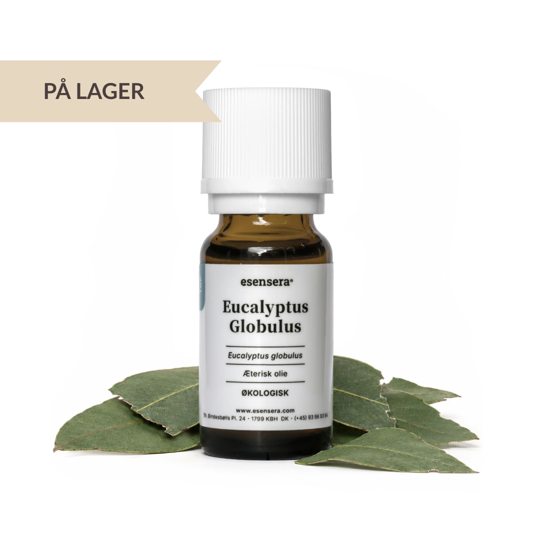 Eucalyptus Globulus ØKO 100 ml.