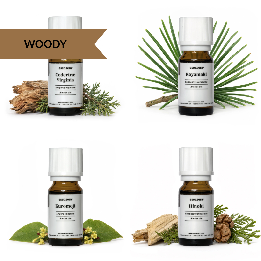 Duftprofil - Woody