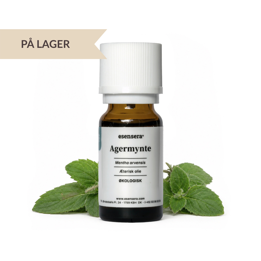 Agermynte ØKO 100 ml.