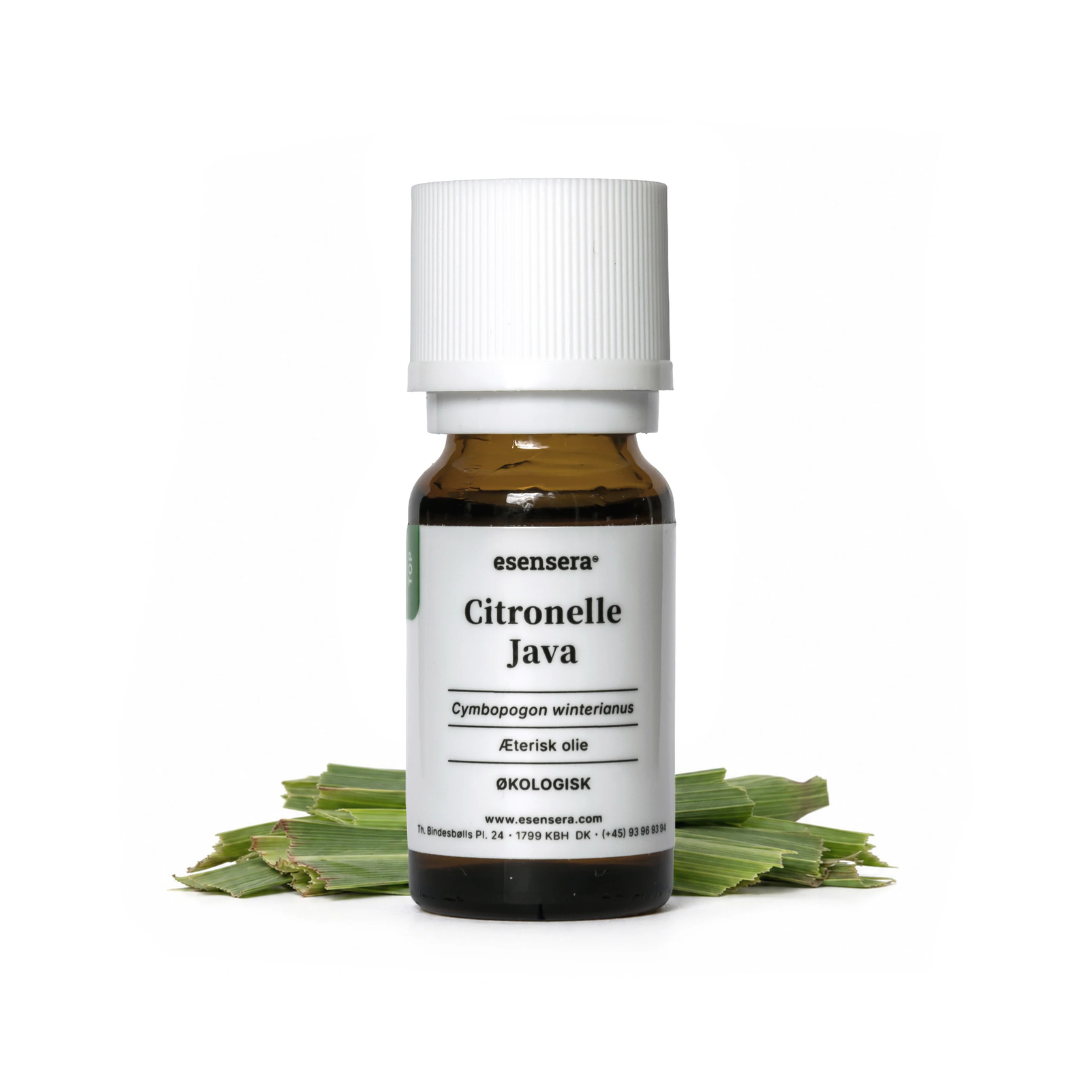 Duftprofil - Aromatic