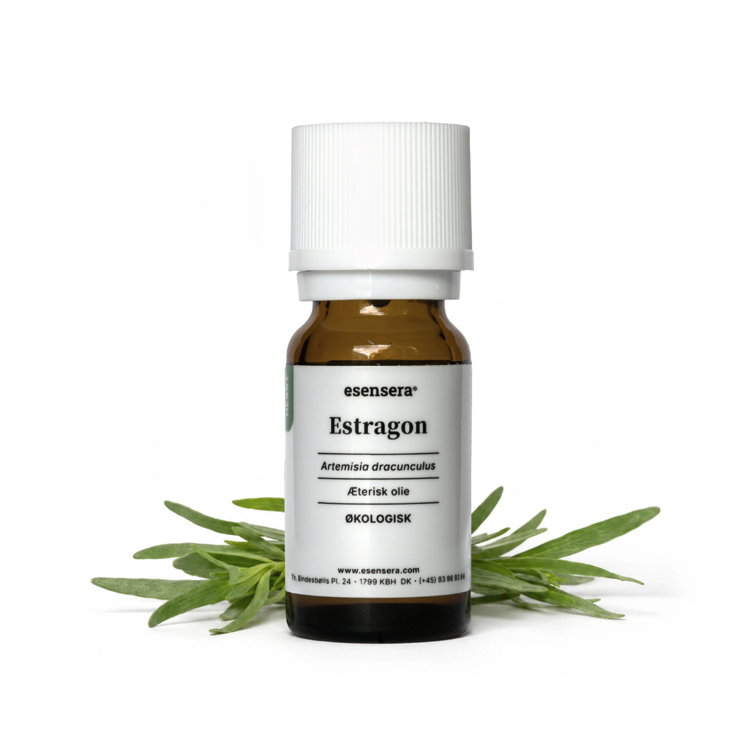 Duftprofil - Aromatic
