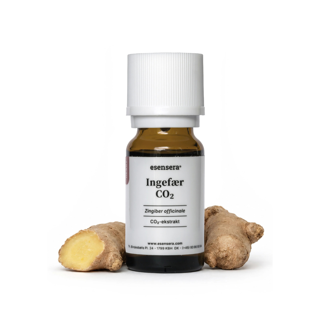 Ingefær CO2 30 ml.