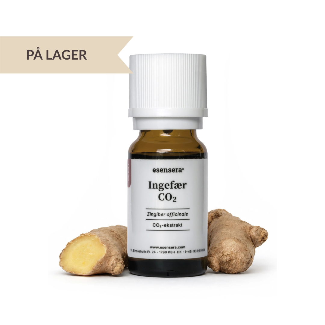 Ingefær CO2 30 ml.