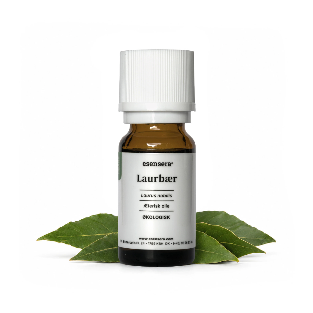 Duftprofil - Aromatic