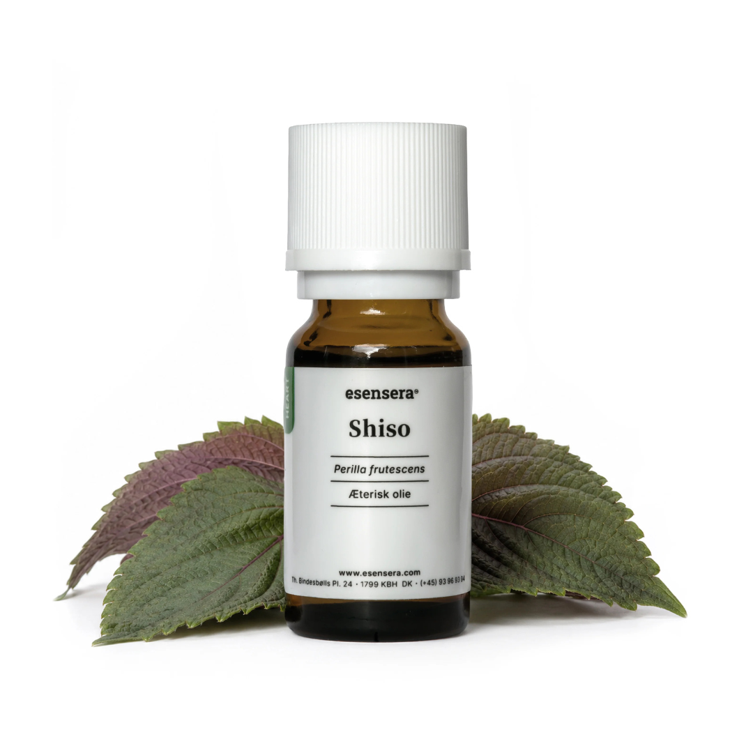 Duftprofil - Aromatic