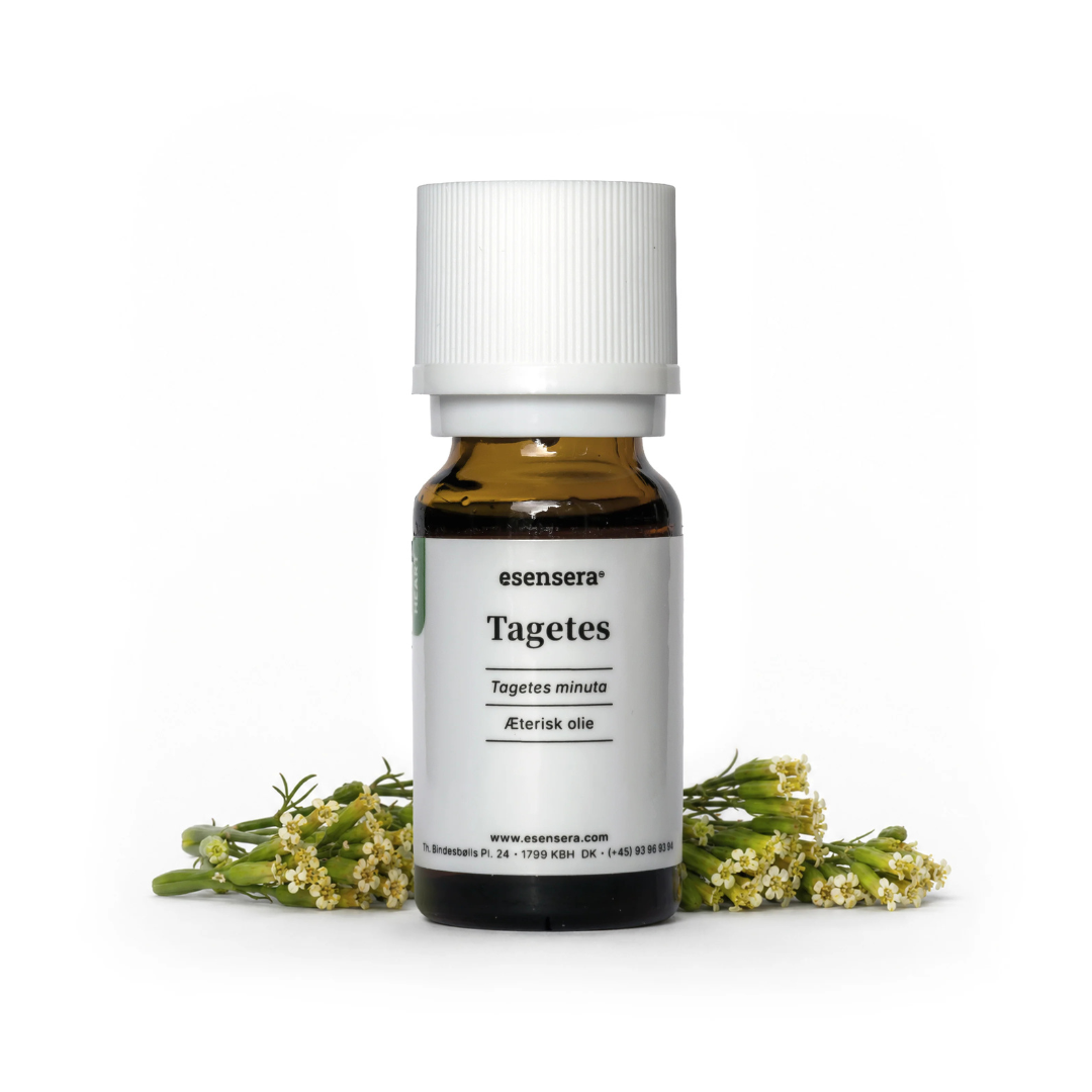 Duftprofil - Aromatic