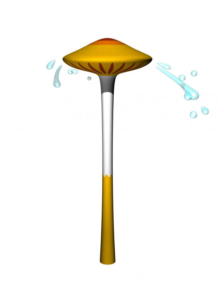 Svamp